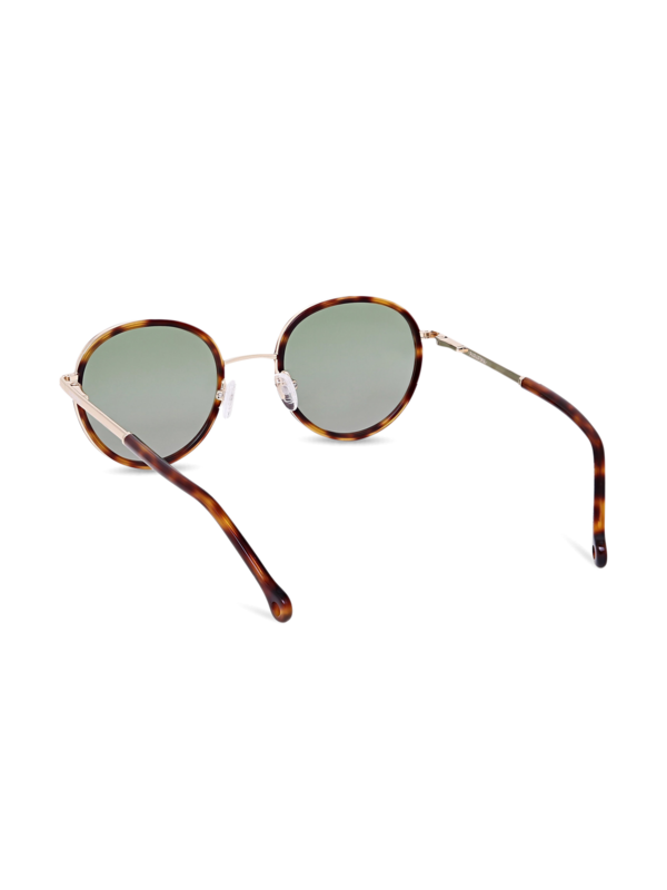 Brown and Metallic Frame Round Sunglasses