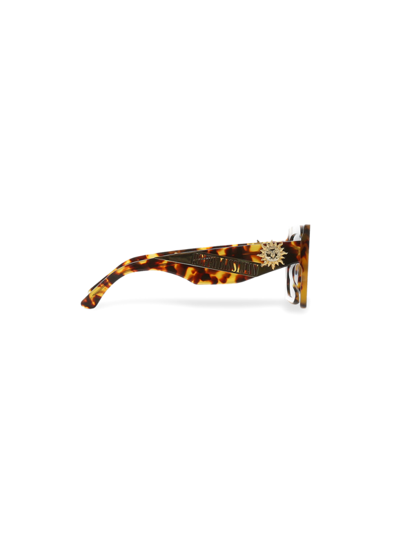 Brown Clear Helios Shades