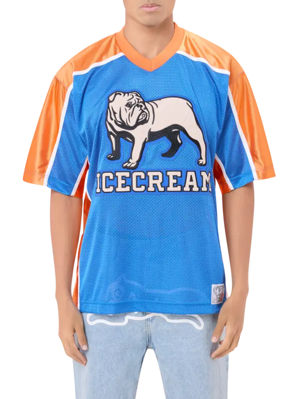 /original/IC25223_ICEC_Blue_1.png_convert-600x800