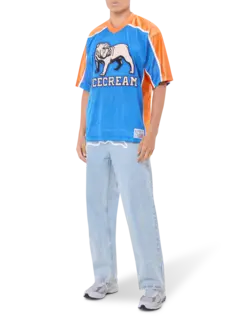/original/IC25223_ICEC_Blue_2.png_convert-240x320