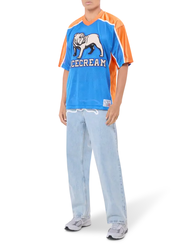 /original/IC25223_ICEC_Blue_2.png_convert-600x800