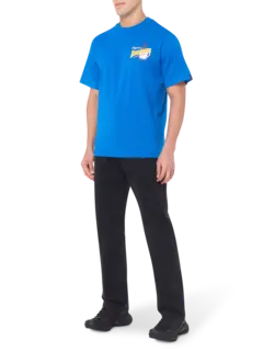 /original/IC25251_ICEC_Blue_2.png_convert-240x320