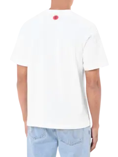 /original/IC25254_ICEC_White_3.png_convert-240x320