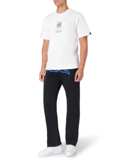 /original/IC25348_ICEC_White_2.png_convert-240x320