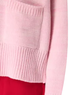 كارديجان آيس بريكر