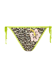 /original/INC1161_COOL_Gallipoli_3.png_convert-240x320