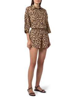 /original/INC204BAB_COOL_Babylonian_2.png_convert-240x320