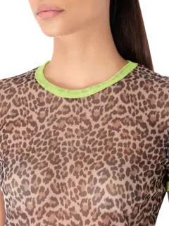 /original/INC216_COOL_Jaguar_4.png_convert-240x320