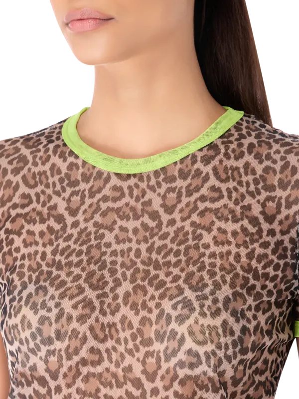 /original/INC216_COOL_Jaguar_4.png_convert-600x800