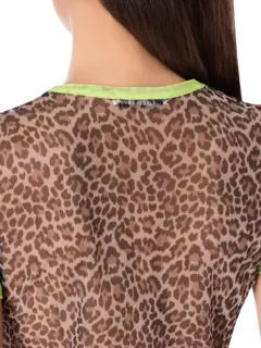 /original/INC216_COOL_Jaguar_5.png_convert-240x320