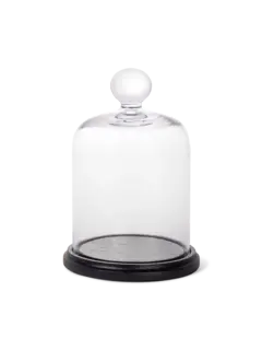 /original/JAR13KITTRU_CTUR_Mustard_1.png_convert-240x320