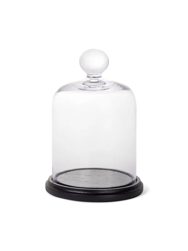 /original/JAR13KITTRU_CTUR_Mustard_1.png_convert-600x800