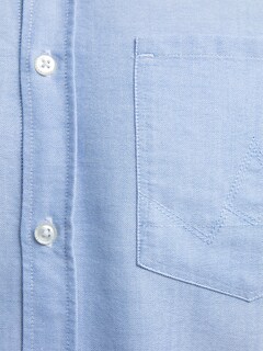 Button Down Oxford Shirt in Light Blue