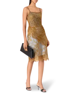 /original/JW25AWBX009_JACQ_BrownshGrn_3.png_convert-240x320