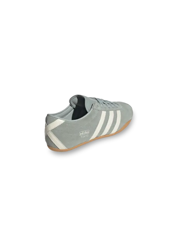 /original/KI3585_ADDS_WondrSage_3.png_convert-600x800