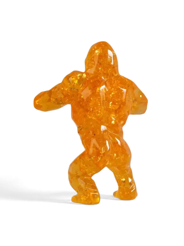 /original/KONGBUB_RIOR_Amber_4.png_convert-600x800