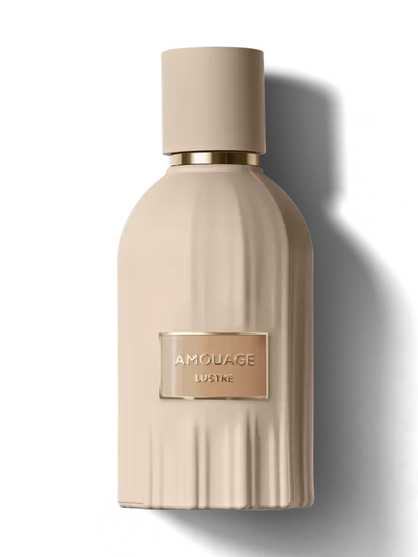 /original/L641103_AMOU_NA_1.png_convert-600x800