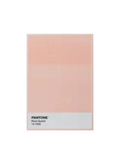 /original/LBPT01LP_LEXN_Rose Quart_1.png_convert-240x320