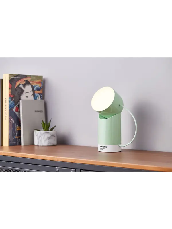 /original/LBPT01M_LEXN_Pastel Green_2.png_convert-600x800