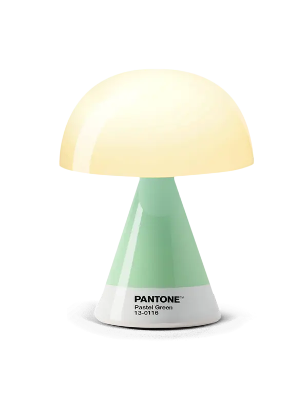 /original/LBPT01M_LEXN_Pastel Green_4.png_convert-600x800