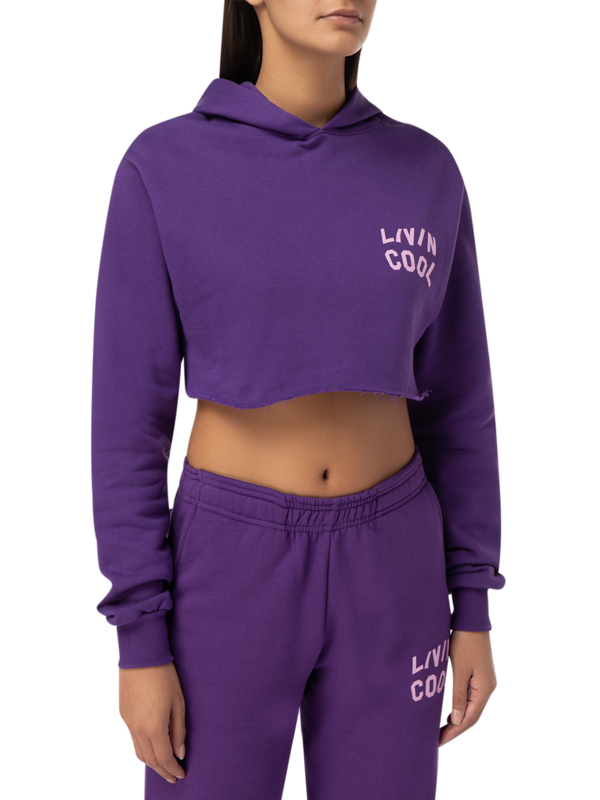 Graphic Cropped Dip-Dye Hoodie