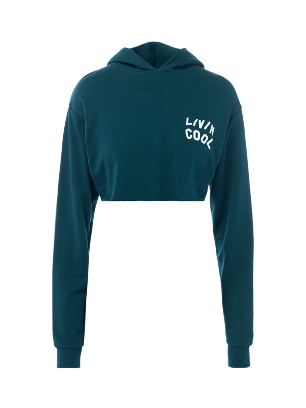 Graphic Cropped Hoodie