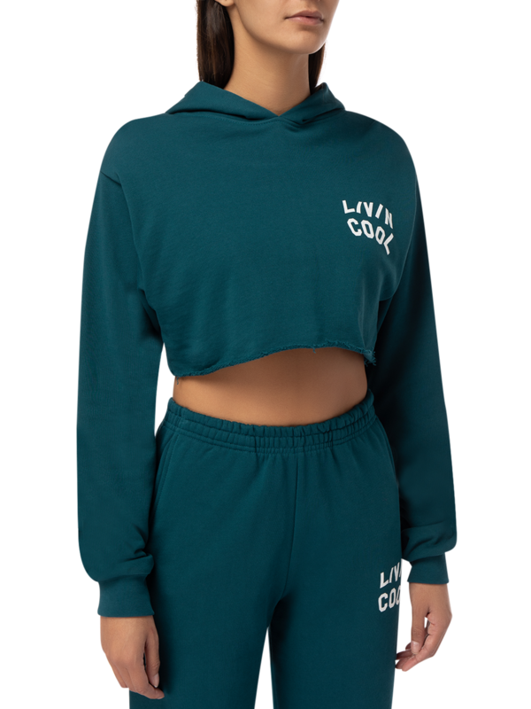 Graphic Cropped Hoodie