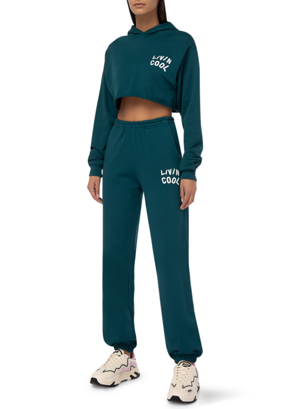 Graphic Cropped Hoodie