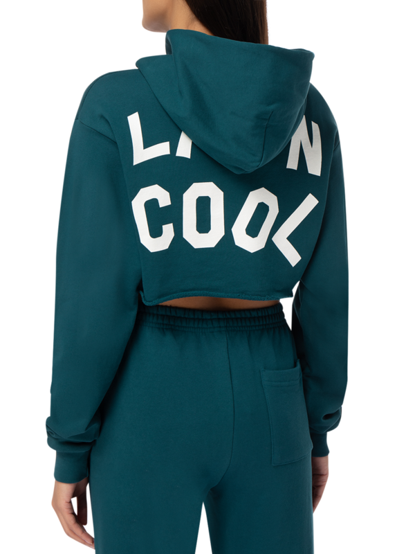 Graphic Cropped Hoodie