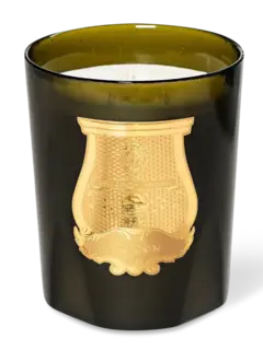 /original/LGBABD08TRU_CTUR_Green_1.png_convert-240x320