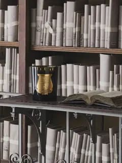 /original/LGBABD08TRU_CTUR_Green_2.png_convert-240x320