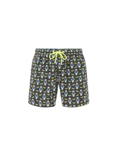 /original/LIG000303488G_MC2S_Bat O Cloc_1.png_convert-240x320