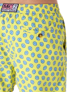 Fantasy Paisley Swimshorts