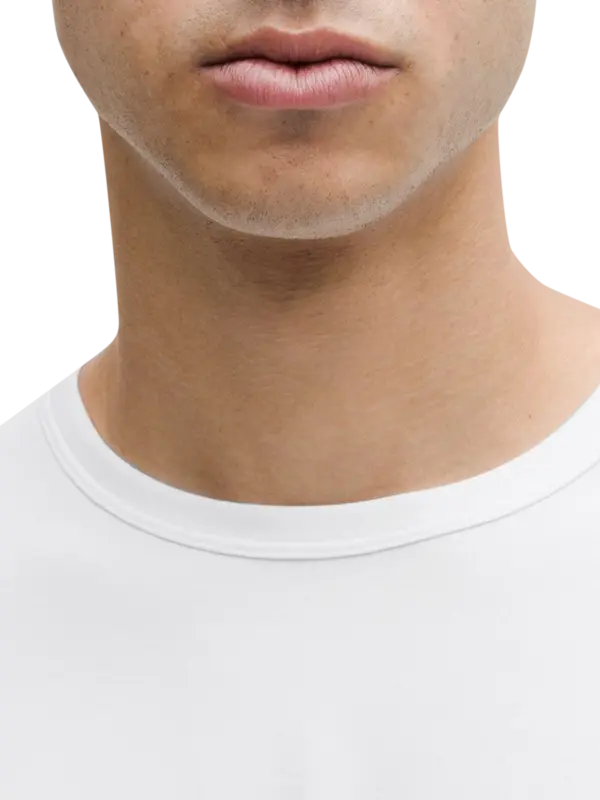 /original/LM3FQQS_0002_LULU_2_4.png_convert-600x800