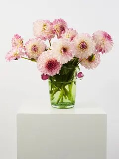 /original/LREPVPIV_LARE_Blue_Green_2.png_convert-240x320