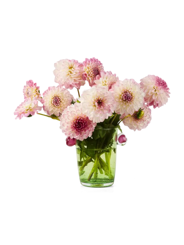 /original/LREPVPIV_LARE_Green_Pink_2.png_convert-600x800