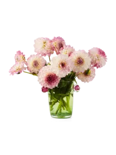 /original/LREPVPIV_LARE_Pink_Red_2.png_convert-240x320