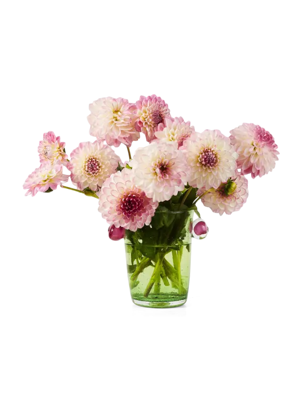 /original/LREPVPIV_LARE_Pink_Red_2.png_convert-600x800