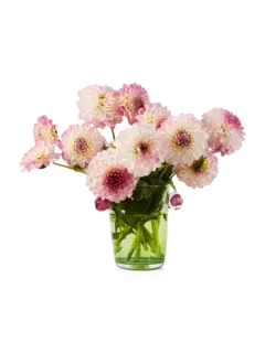 /original/LREPVPIV05_LARE_Gold_Pink_2.png_convert-240x320