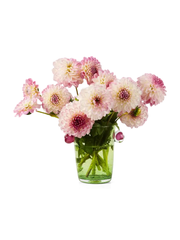 /original/LREPVPIV05_LARE_Gold_Pink_2.png_convert-600x800