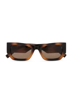 /original/LSP2452421_LESP_Tortbrownm_1.png_convert-240x320