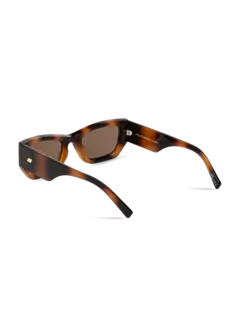 /original/LSP2452421_LESP_Tortbrownm_4.png_convert-240x320