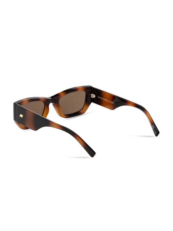 /original/LSP2452421_LESP_Tortbrownm_4.png_convert-600x800