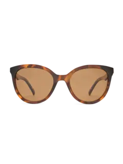 /original/LSP2552217_LESP_Tortbrownm_1.png_convert-240x320