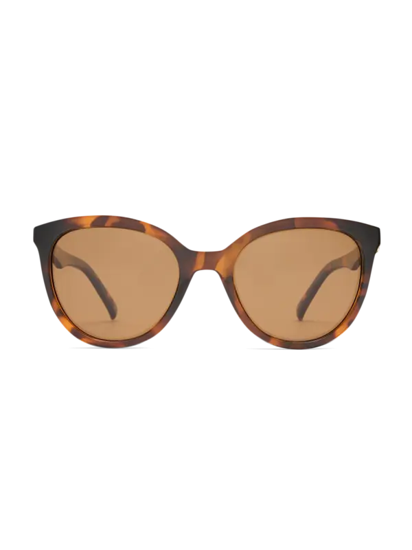 /original/LSP2552217_LESP_Tortbrownm_1.png_convert-600x800