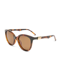 /original/LSP2552217_LESP_Tortbrownm_3.png_convert-240x320