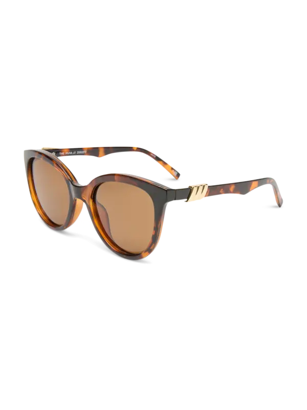 /original/LSP2552217_LESP_Tortbrownm_3.png_convert-600x800