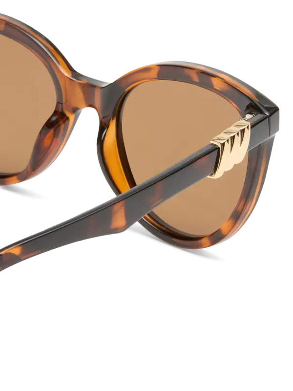 /original/LSP2552217_LESP_Tortbrownm_4.png_convert-600x800