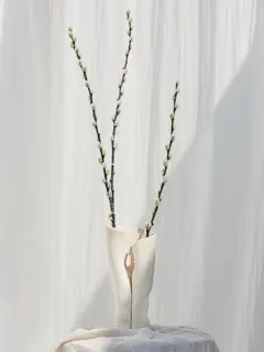 /original/LTR-CRM_CONS_Cream_2.png_convert-240x320