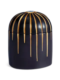 /original/LXL20L_LOBJ_Blue_3.png_convert-240x320